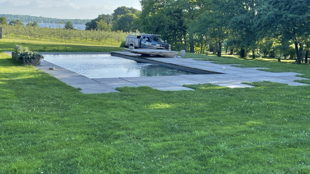 Jamestown, RI gunite pool set on green landscape with ocean in background.